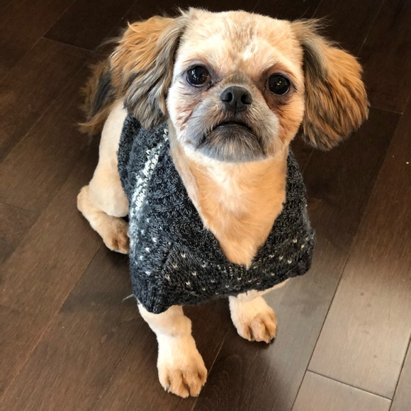 Meet your Posher, Melissa - Picture 2 of 2